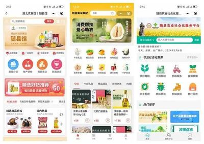 &ldquo;五個以&rdquo;實踐體系的隨縣答卷 | 強&ldquo;鏈條&rdquo;通&ldquo;經(jīng)絡(luò)&rdquo;--奮力打造城鄉(xiāng)供應(yīng)鏈一體化平臺的&ldquo;隨縣實踐&rdquo;